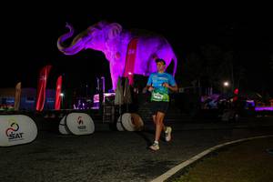 BIB: 
                            <button type="button" onclick="openModal(26534553)" class="btn btn-primary btn-sm float-right btn-popup" data-toggle="modal" data-target=".modal-high-quality">
                        <i class="fas fa-shopping-cart"></i> Add to Cart
                    </button>
                                            <button type="button" onclick="isThisMe(26534553, true)" class="btn btn-success btn-sm float-right btn-popup btn-isme hidden" data-toggle="tooltip" data-placement="bottom" title="นี่คือรูปของคุณใช่ไหม คลิกที่นี่เพื่อเอาเข้าอัลบั้ม">
                        <i class="fas fa-plus"></i> Add to album
                    </button>
                    <button type="button" onclick="isThisMe(26534553, false)" class="btn btn-warning btn-sm float-right btn-popup btn-isnotme hidden">
                        <i class="fas fa-ban"></i> Remove from album
                    </button>